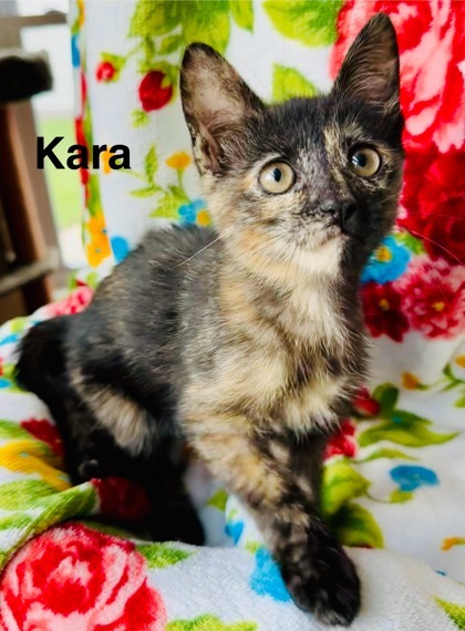 Kara 2