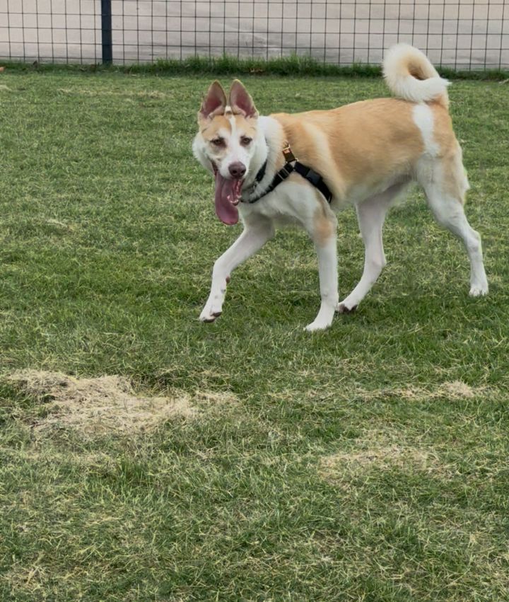 Jax V (New Digs) 1