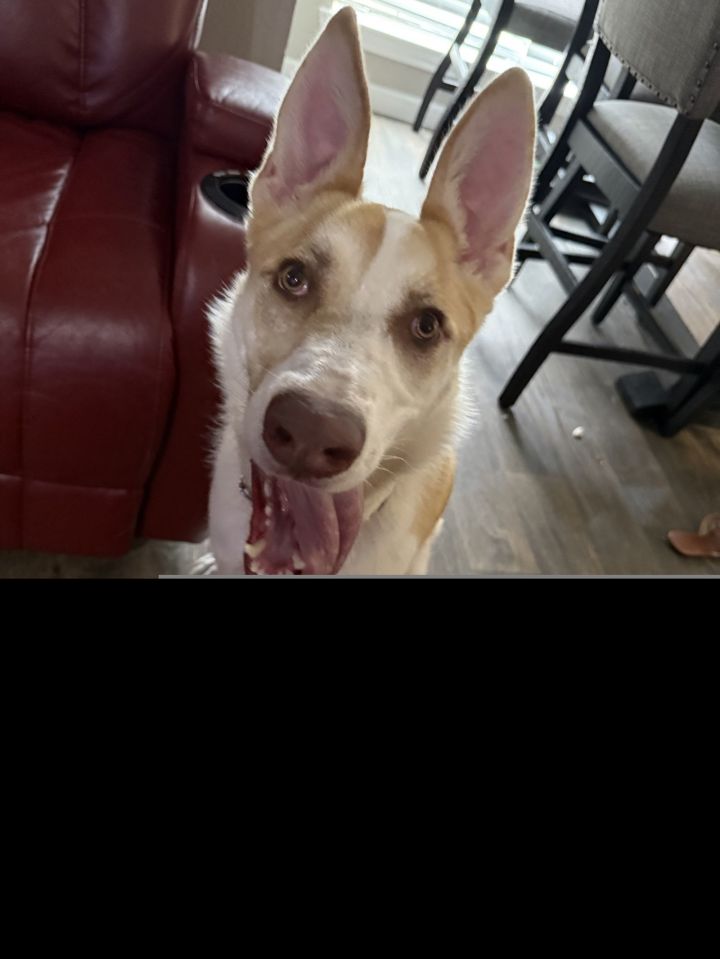 Jax V (New Digs) 3