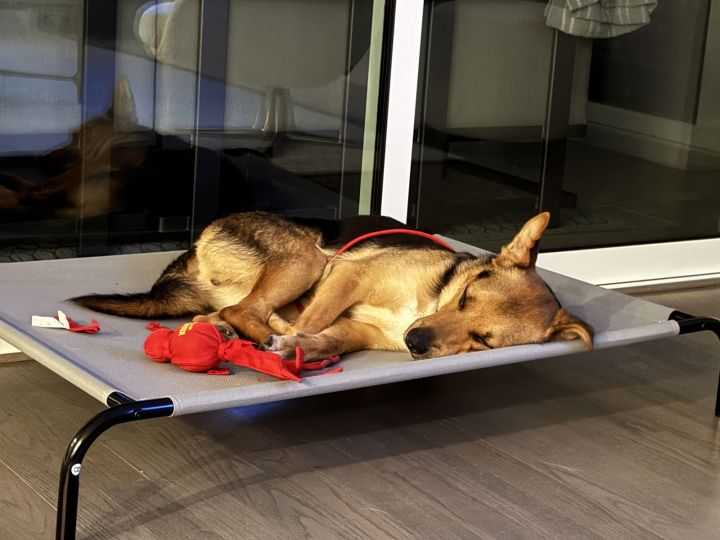 Max VIX (New Digs) 2