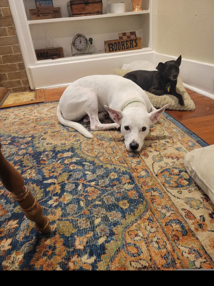 Kramer (New Digs) 1