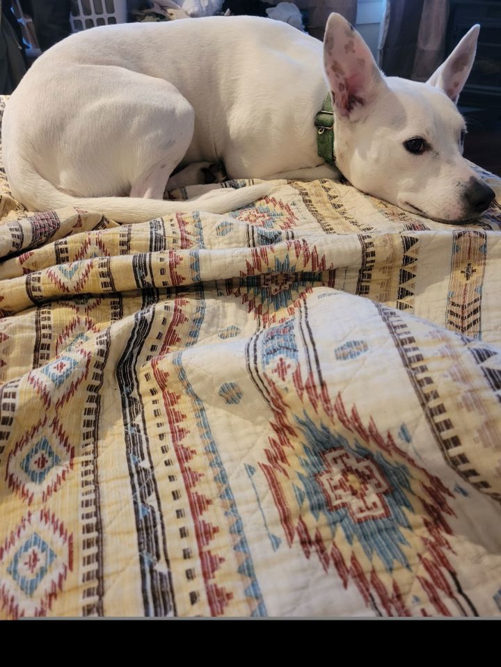 Kramer (New Digs) 3