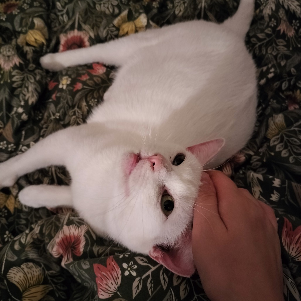 Elsa Mae