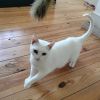 Elsa Mae photo 6