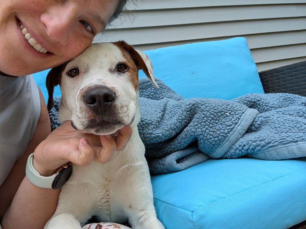 Cloudberry, an adoptable Mixed Breed in Waunakee, WI, 53597 | Photo Image 6