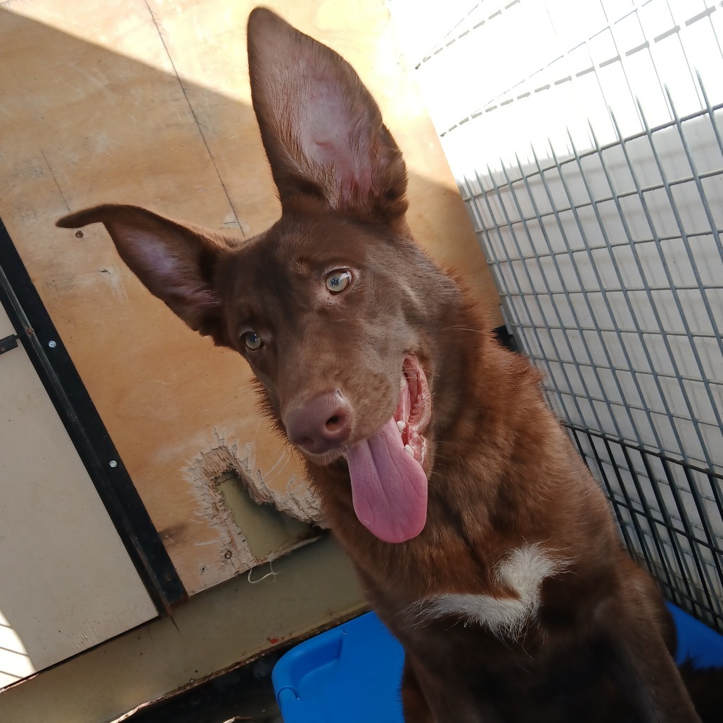 Atlas/A1038521