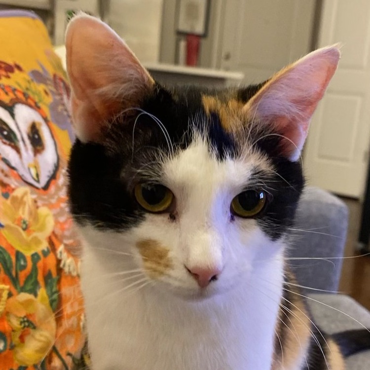 Abby