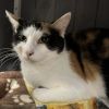 Abby photo 2