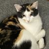 Abby photo 5