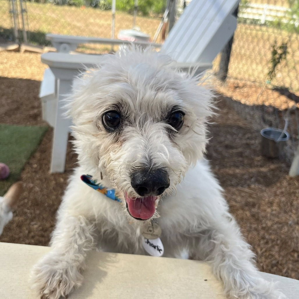 Charlie