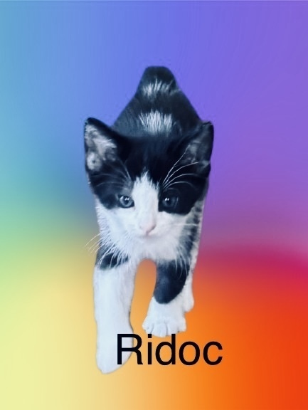 Ridoc