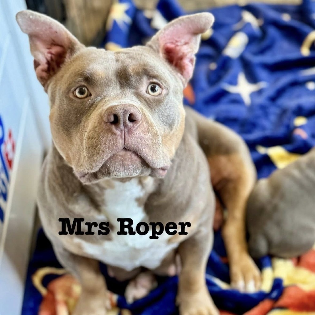 Mrs Roper