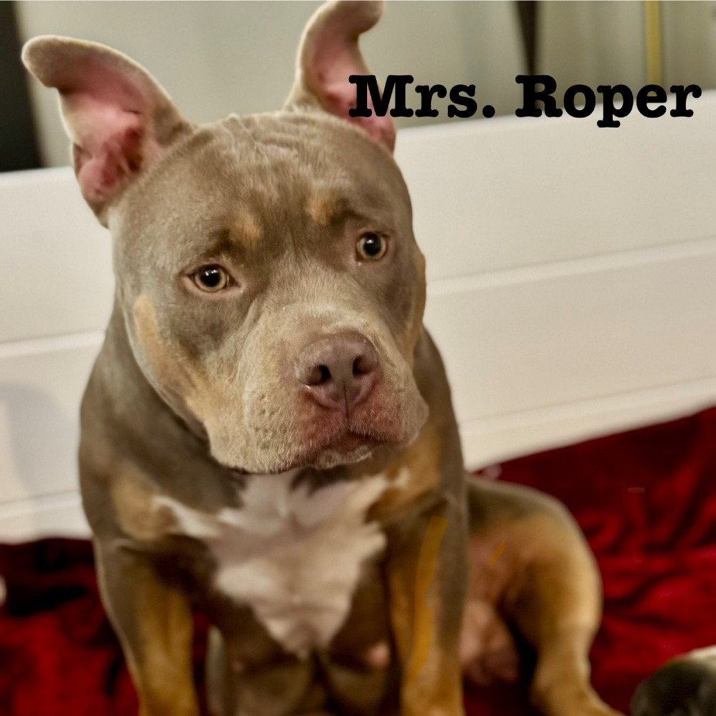 Mrs Roper