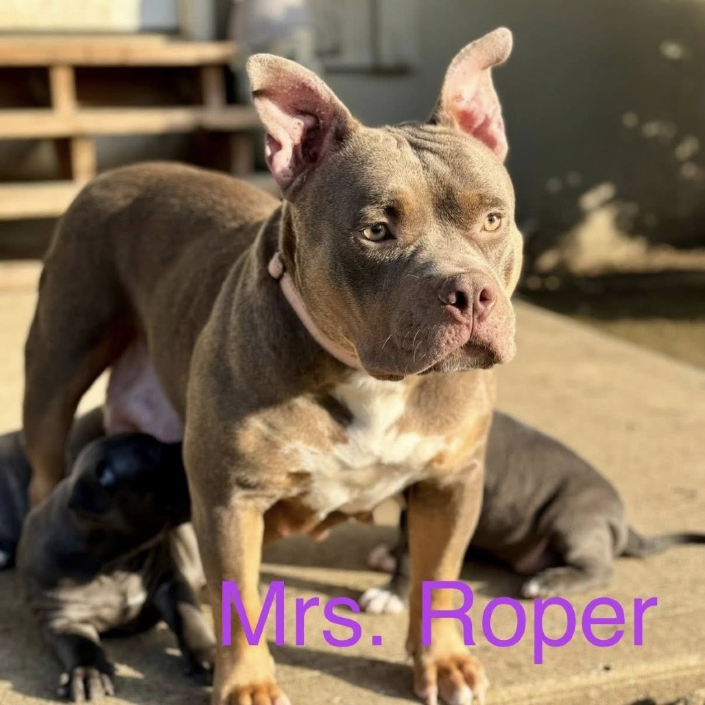 Mrs Roper