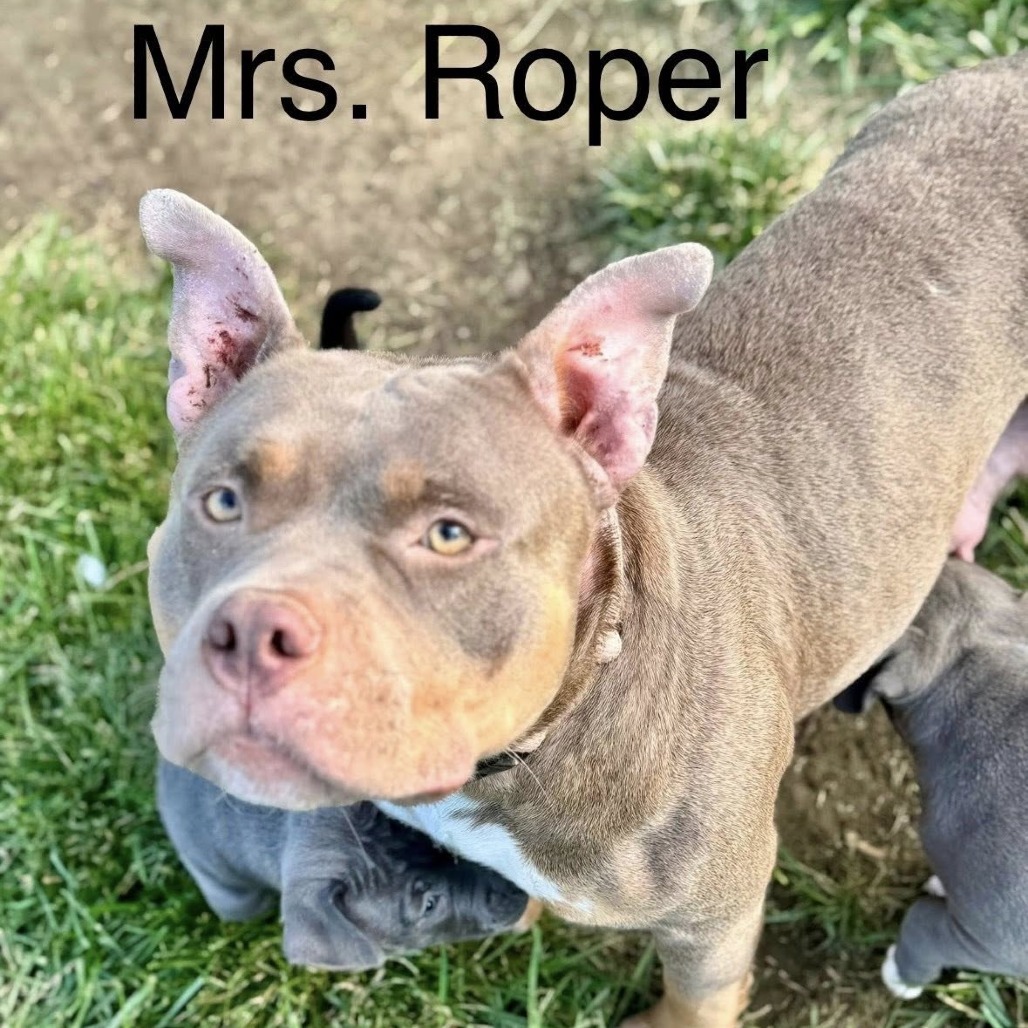 Mrs Roper