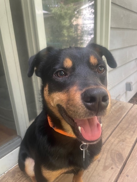 Tatum (T Brothers)