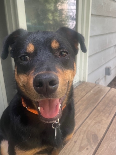 Tatum (T Brothers)
