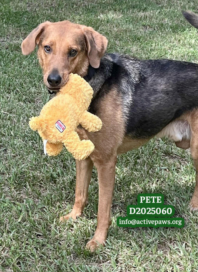 Pete