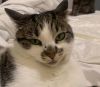 Zena photo 1