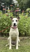 Delilah photo 2