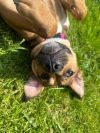 Shirley photo 4
