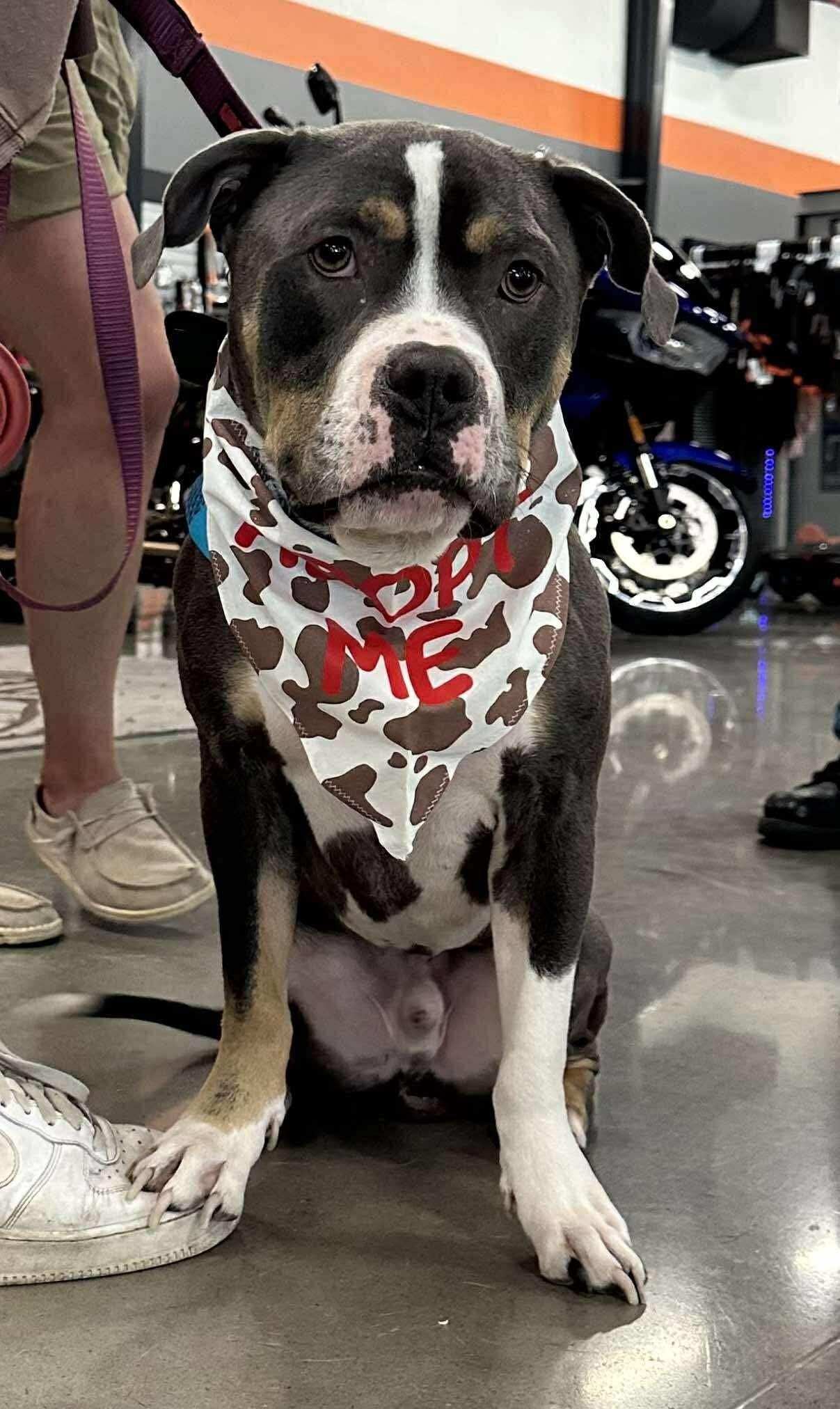 Bubba "Tank" Blue