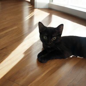 Inky (MM), Baby Female unknown