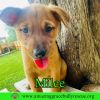 Milee photo 2