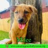 Milee photo 3