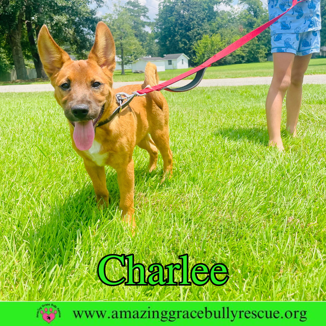 Charlee