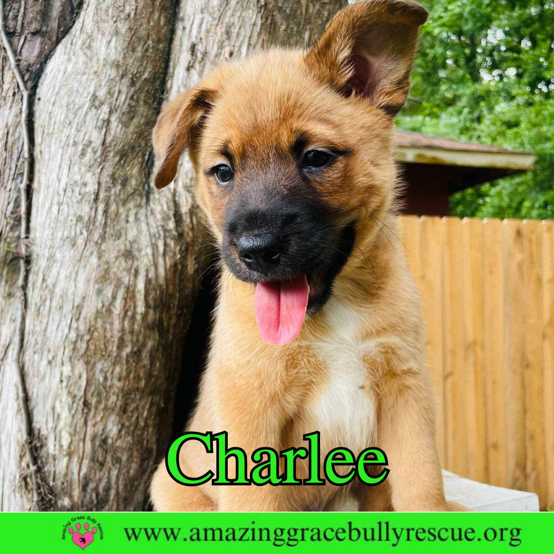 Charlee