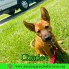 Charlee photo 2
