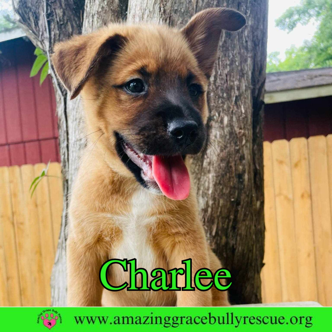 Charlee