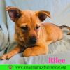 Rilee photo 2