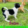 Bailee photo 3