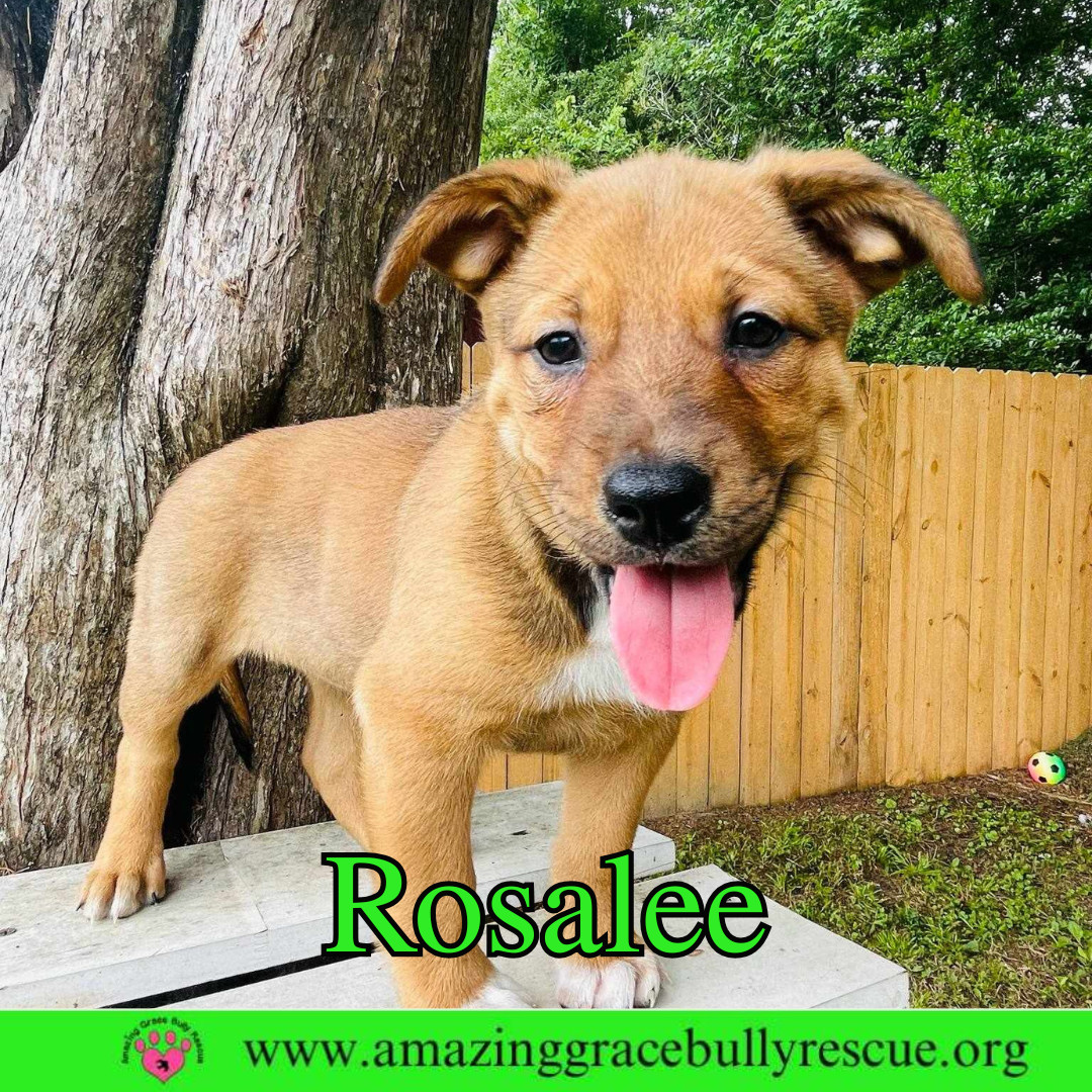 Rosalee