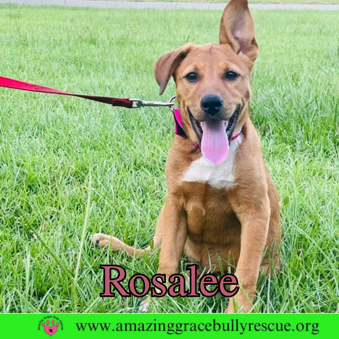 Rosalee