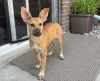 FAWN photo 1