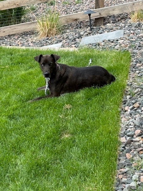 MADDIE