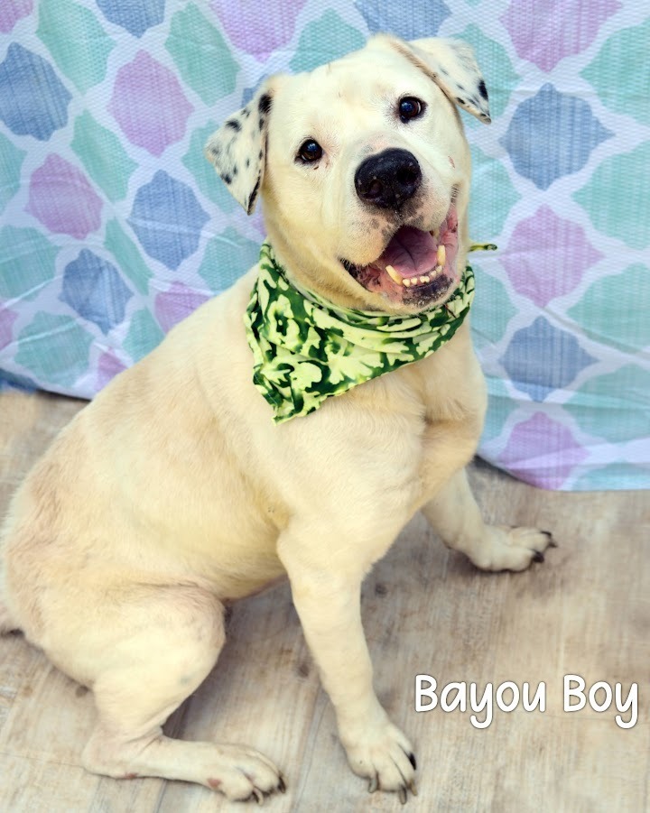 Bayou Boy