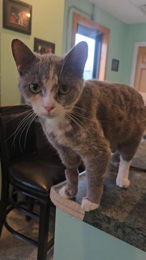 Danica, Young Female unknown