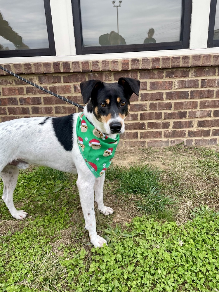 Baylor