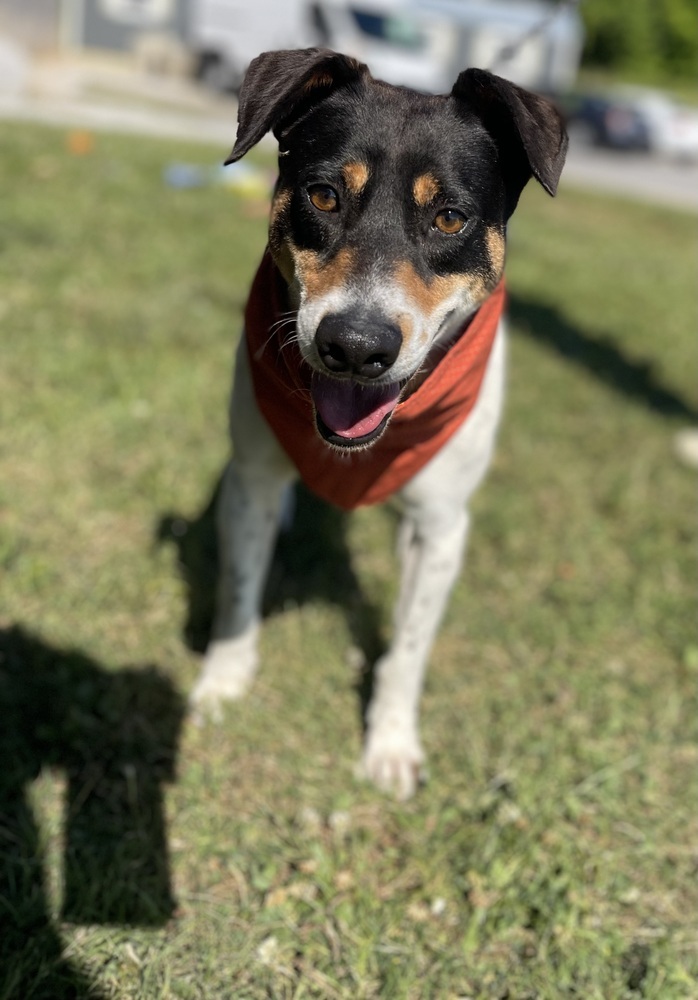 Baylor