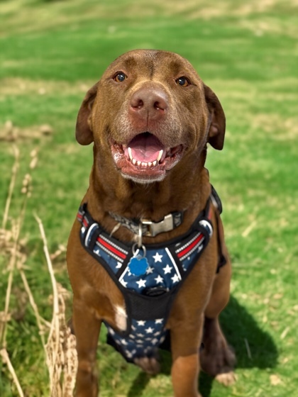 Daisy Doo