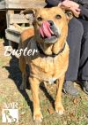 Buster photo 2