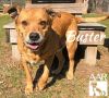 Buster photo 5
