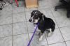 Peggy photo 2