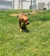 Becky photo 4