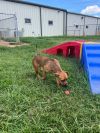 Becky photo 5
