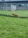 Becky photo 6